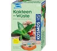 Kakteen-Wüste: Experimentierkasten