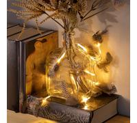 Kal-® 2x Lampes De Fée À Del Avec Plumes - Lampes De Fée À Piles Avec Éclairage À Del - Éclairage Décoratif Avec Plumes De Caille Pour Noël (02 Pièces - Plumes De Guirlandes Lumineuses)