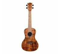 KALA KA-SA-C - Ukulélé De Concert En Acacia Massif, Avec Étui (UC-C)