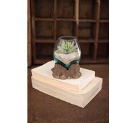 KALALOU DWA1004 Bol en verre soufflé sur socle en bois flotté Petit modèle