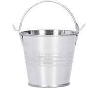 KALANKA-10 pièces Pot de Fleur Mini Pot de Plante succulente Petit Seau en métal pour intérieur extérieur décor comme Une Petite décoration sur Votre Porche arrière-Cour(4*5.5*6-Argent Brillant)