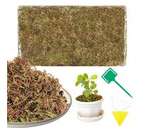 KALANKA-200g Sphaigne pour Plante Naturelle Compressé Sphaigne pour Orchidées Mélange pour Pot - pour Orchidées Terrarium Jardin Bonsaïs Reptile Amphibien