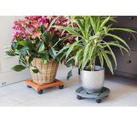 KALANKA-825250 Chariot pour Plantes Ø 350 mm ¿ Charge maximale 60 kg ¿ Plaque en pin strié ¿ Anthracite ¿ roulettes en polypropylène avec 2 Freins ¿ Rouleau d'intérieur/Aide au Transport des