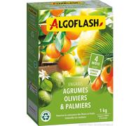 Kalanka-Algoflash Engrais Agrumes, Olivers, Palmiers, Longue Durée, 1 Kg, Med1r