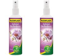 Kalanka-Algoflash Hydratant Orchidées, Vaporisation 1 Xfois Par Jour, 250 Ml, Aorchydra250n (Lot De 2)