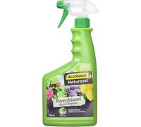 Kalanka-Algoflash Naturasol Anti-Chlorose Reverdissant Toutes Plantes, Prêt À L'emploi, 750 Ml, Bioclopretan, Vert