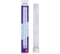 Kalanka-Ampoule 2g11 - Uvc 24 W
