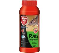 KALANKA-Anti Rats et campagnols - Efficacité Radicale - Lieux secs & humides \u2013 24 Sachets pâtes \u2013 240g - Prêt à l'emploi - Une Ingestion Suffit- Très Appétent RACPAT240