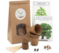 Kalanka-Bonsai Starter Kit - Bonzai Set Avec Pots De Noix De Coco, Graines Et Terre - Idée De Cadeau Durable Pour Les Amoureux Des Plantes (Grenadier Nain + Tamarin)