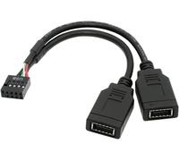 KALANKA-Câble d'extension mâle pour carte mère Dual Port USB 3.1, prise de panneau avant, type A, type E vers USB 2.0, 9 broches, 10 broches