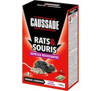 KALANKA-CAUSSADE Anti Rats & Souris - Efficacité Radicale - Lieux Secs - 6 Sachets Céréales - Prêt à l'emploi - Une Ingestion Suffit - Fabriqué en France - 150g CARSCBR150