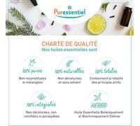 Kalanka-- Diffusion - Huiles Essentielles Pour Diffusion - 100 Pourcent Pures Et Naturelles - Diffuse Zen - Pour Détente Et Sérénité - 30 Ml
