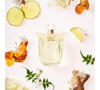 Kalanka-Eau My Delice Coffret Cadeau Femme De 2 Articles Comprenant Une Eau De Toilette De 100ml Et Un Lait Pour Le Corps De 200ml