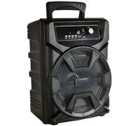 KALANKA-Enceinte Bluetooth sans Fil karaoké 1 x 10 W, Son Puissant, idéal pour Les fêtes, Les divertissements et Les événements Sociaux.