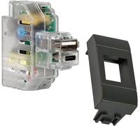 KALANKA-FANTON 82893-32 kit d'alimentation USB A+C 2,4A Fixation Keystone encastrée avec Adaptateur combatible avec plaques et Supports BTICINO Living Light/International