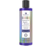 Kalanka-Fauvert Professionnel Shampoing Et Soin 2 En 1 - Neutralise Reflets Jaunes Et Hydrate - Cheveux Blonds, Colorés Ou Grisonnants - Fabriqué En France - 250ml