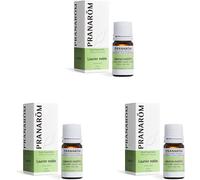 Kalanka-Huile Essentielle Laurier Noble Laurus Nobilis Feuille Hect 5 Ml (Lot De 3)