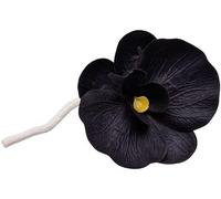 Kalanka-Hypno Casa - Diffuseur De Parfum Orchidée Avec Fleur 100 Ml (Orchidée Noire)
