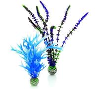 Kalanka-Jeu De Plantes M En Bleu Et Violet