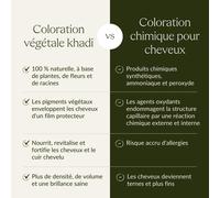 Kalanka-Khadi Berlin Blond Coloration Végétale Pour Cheveux ¿ Teint Vos Cheveux Dans Un Ton Blond Cendré Et Froid ¿ Coloration Naturelle 100 % Végétale, Naturelle Et Végétalienne ¿ 100 G