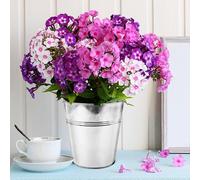 KALANKA-Lot de 12 pots de fleurs en métal galvanisé de 12 cm avec mini outils pour plantes, herbes, fleurs, arbustes, intérieur et extérieur, bricolage