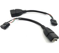 KALANKA-Lot de 2 câbles USB 2.0 Type A Femelle vers connecteur Femelle Dupont 9 Broches pour Carte mère (AF/9 Broches 0,1 m)