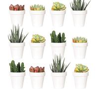 KALANKA-Lot de 24 Mini Pots de Fleurs en Plastique de 5 cm, Pots de Fleurs d'intérieur avec Drainage, Plantes Non incluses (Classique)