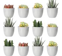 KALANKA-Lot de 24 Mini Pots de Fleurs en Plastique de 5 cm, Pots de Fleurs d'intérieur Gris avec Drainage, Plantes Non incluses (Moderne)
