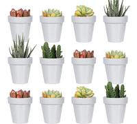KALANKA-Lot de 24 Mini Pots de Fleurs en Plastique de 5 cm, Pots de Fleurs d'intérieur Gris avec Drainage, Plante Non Incluse (Classique)