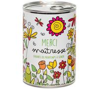 Kalanka-Mauvaises Graines - Kit De Plantes À Semer En Boîte - Cadeau À Offrir Maitresse - Cadeau Original Amis Famille Fêtes Des Prof - Ultra Simple À Utiliser - 100% Fabriqué En France (Merci Maitre