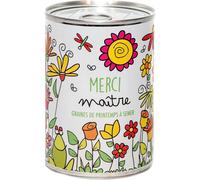 Kalanka-Mauvaises Graines - Kit De Plantes À Semer En Boîte - Cadeau Professeur - Offrir Comme Cadeau Original Amis Famille Fêtes Des Prof - Ultra Simple À Utiliser - 100% Fabriqué En France (Merci M