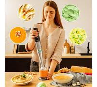 Kalanka-Mixeur Plongeant Katana Totaldestroy 1200xl Dk. Puissance Maximale De 1200 W, 21 Vitesses Et Turbo, 4 Godets En Titane, Capot Anti-Éclaboussures, Pied Extra Long, Bol Gradué De 800 Ml