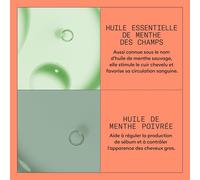 Kalanka-Nioxin System 4 - Pour Cheveux Colorés, Secs, Abîmés Et Chute Avancée - Kit/Shampoing/Après-Shampoing/Soin Pour Cuir Chevelu