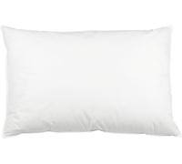 Kalanka-Oreiller - Remplissage 100% Plumes - Taie En Coton De Haute Qualité - Made In Germany - Lavable Jusqu'à 60°C - 60x80 Cm - Qualité Hôtel - Certifié Oeko Tex®