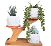 KALANKA-Paquet de 3 Pots de Plantes en céramique succulentes Hibou pour Bureau à Domicile (avec Support en Bois), Pot de Fleur en Pot de Combinaison