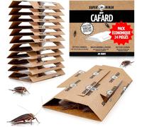 KALANKA-Pièges Cafards \u2013 24 Pièges Collants avec Attractif, Produit Anti Cafard Puissant Non Toxique pour la Maison, Garage et Cave, sans Odeur
