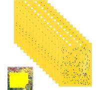 KALANKA-Pièges Collants Double Face, 20pcs Attrape-Mouches et Insectes, Efficaces et Faciles à Utiliser, Jaunes Adhésifs pour Capturer Aleurodes, Moustiques, Pucerons et Autres Nuisibles, 20 * 15cm