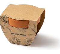 Kalanka-Pot En Terre Cuite Avec Graines De Tournesol, Avec Substrat, Pot Biodégradable Et Sac De Substrat Pour Réaliser La Croissance Dans Une Boîte Design Eco