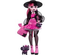 KALANKA-Poupée Articulée Draculaura avec Animal Chat-Chauve-Souris, Count Fabulous, Accessoires Effrayants Inclus, À Collectionner, Jouet Enfant, A Partir De 4 Ans, HRP64
