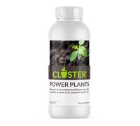 KALANKA-Power Plants 1 LT - Engrais pour Plantes à Base de Cuivre et de Soufre - Engrais à Action Antimicrobienne Contre les Champignons et les Bactéries, Stimule la Nutrition et Combat les Carences