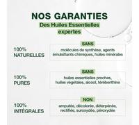 Kalanka-Pranarôm - Ravintsara Bio - Huile Essentielle Chémotypée - Confort Respiratoire & Défenses Naturelles - 100% Pure Et Naturelle - Hect - 30 Ml