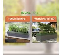 KALANKA-Provence - Jardinière Auto-arrosante à 4 Pots à Herbes aromatiques avec indicateur de Niveau d'eau - Jardinière de Rebord de fenêtre - Design Moderne - Pratique et Facile à Utiliser, Gris,