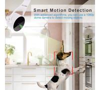 KALANKA-Security Cameras 1080p HD Indoor Wireless Smart Home Camera Detection with Night Vision 2-Way Audio Works with Alexa & The Google Assistant White