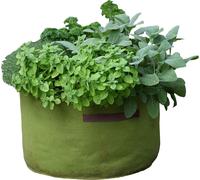 Kalanka-Tierra Garden Haxnicks - Vig080101 - Pots « Vigo » - Vert, 18 X 18 X 20 Cm, Green, 45 X 25 Cm