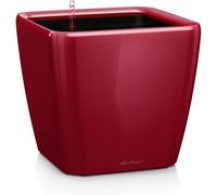 Kalanka-\U2013 Pot De Fleurs D'interieur \U2013 Premium Quadro Ls \U2013 Réserve D'eau Intégrée \U2013 Coloris Rouge Scarlet \U2013 21 X 21 X 20 Cm