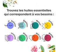 Kalanka-Voshuiles - Huile Essentielle Girofle Bio 20ml - Parfum Chaud - Réconfortant - Réputée Pour Ses Nombreuses Vertus - Huiles Essentielles De Qualité - 100% Pure Et Naturelle - Hebbd Et Certifié