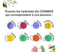 Kalanka-Voshuiles - Hydrolat D'hélichryse Cosmos - Immortelle - 100ml - Eau Florale Naturelle Pour Soin De La Peau- Cosmétique Bio- Tonifiant Et Apaisant- Qualité Premium