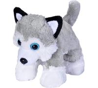 KALANKA-Wild Republic - 18085 - Peluche - Hug'ems - Chien Husky - 18 cm