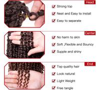 Kalanka-Xtrend 14 Pouces Ombre Présided Passion Twist Cair 8packs 12 Mèches/Pack Bohemian Pré-Boucle Synthétique Hair Natural Crochet Passion Twist Hair For Black Femmes (T30#)
