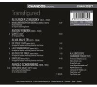 KALEIDOSCOPE CHAMBER - TRANSFIGURED - CD - G4z